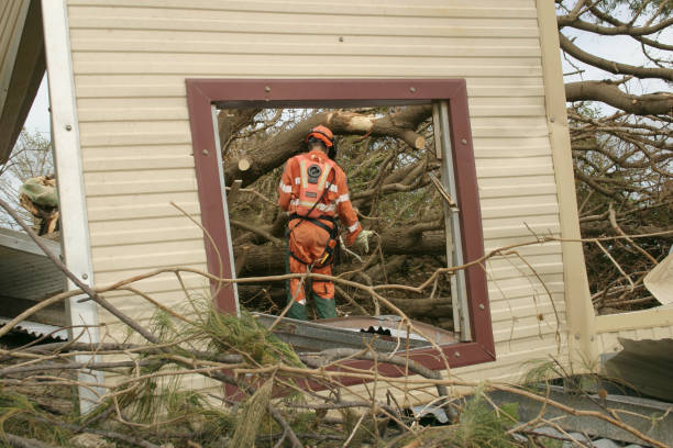 Best Tree Risk Assessment  in Mcewen, TN